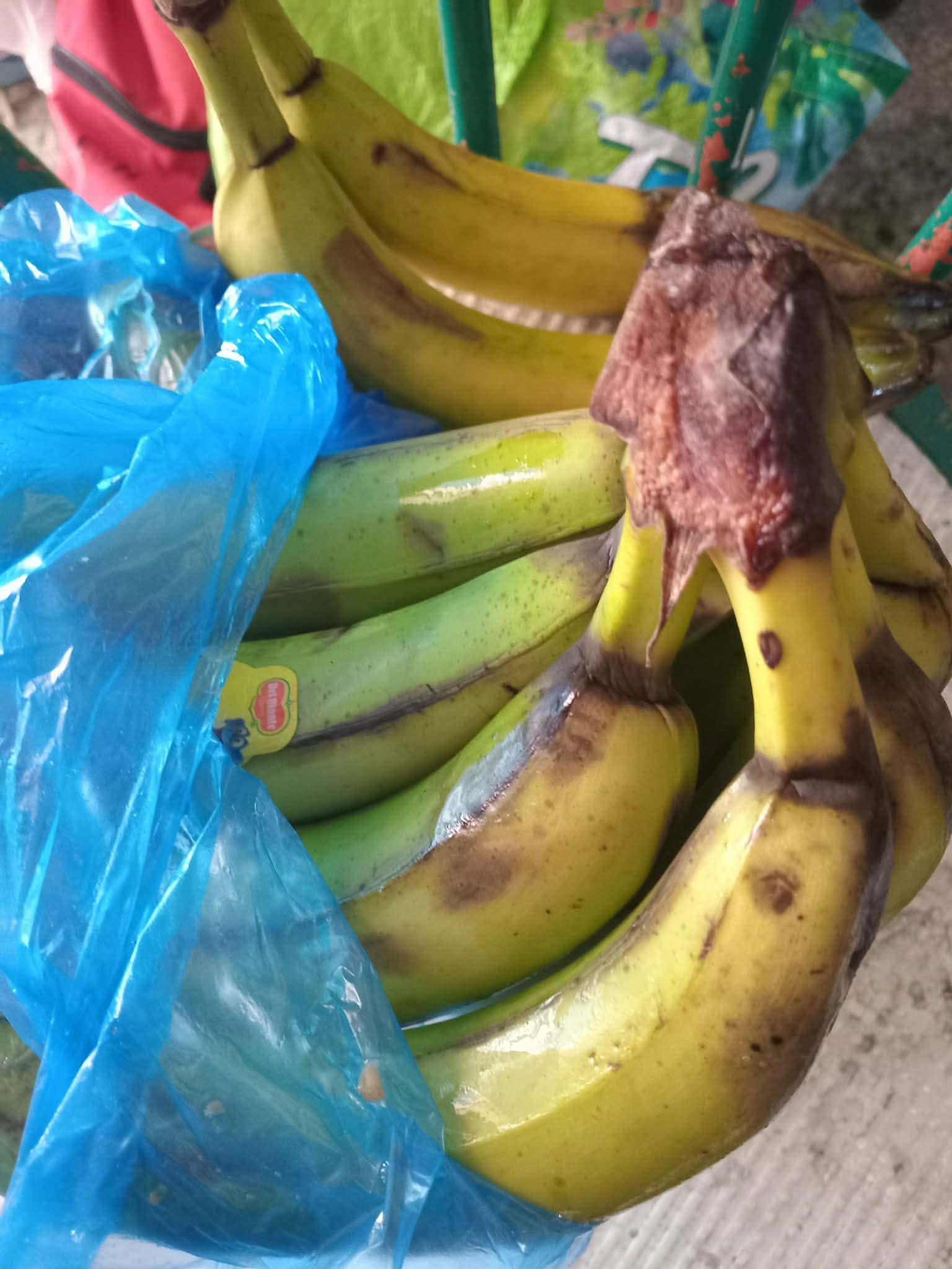 سوسة.. حجز أكثر من 6 أطنان من الموز غير صالح للإستهلاك 