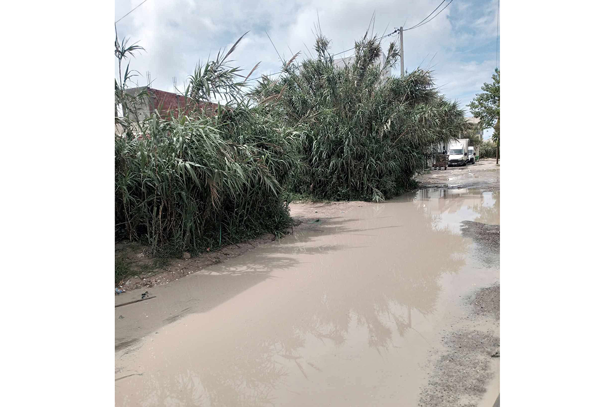 راس الجبل.. وقفة احتجاجية للمطالبة بتهيئة طريق السويسري
