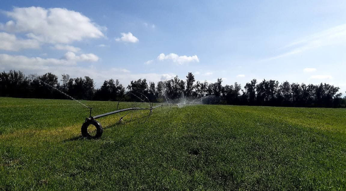 القيروان.. أمطار ديسمبر تنعش الآمال وتبشّر بموسم فلاحي واعد