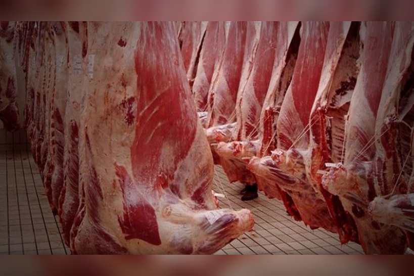 راس الجبل.. حجز  332 كغ من اللحوم الحمراء