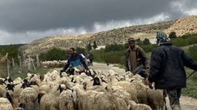 تقلبات جوية مرتقبة.. وزارة الفلاحة تدعو الفلاحين والبحارة إلى أخذ الاحتياطات الضرورية    