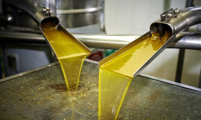 حدد بـ9 دنانير للتر من زيت الزيتون..   سعر مرجعي غير منصف للفلاح.. ومطالبة بوضع خطة استباقية