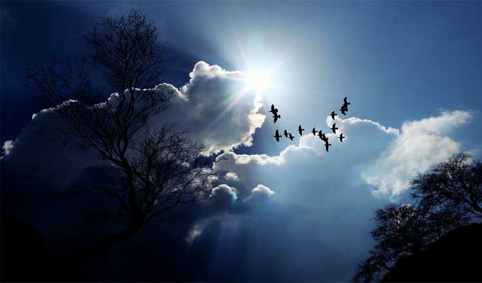   طقس اليوم.. انخفاض نسبي لدرجات الحرارة