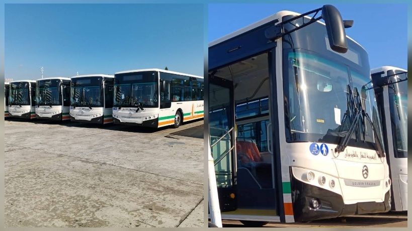 القيروان.. الشركة الجهوية للنقل تتسلم عددا من الحافلات لتعزيز الأسطول الحضري