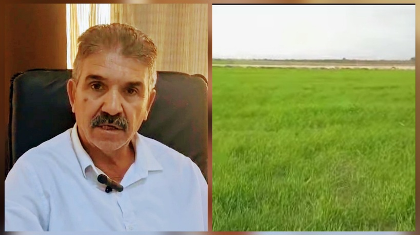  رئيس الاتحاد الجهوي للفلاحة بالقيروان لـ"الصباح نيوز":" تقدم موسم البذر إلى 95% وبذر 30 ألف هكتار 