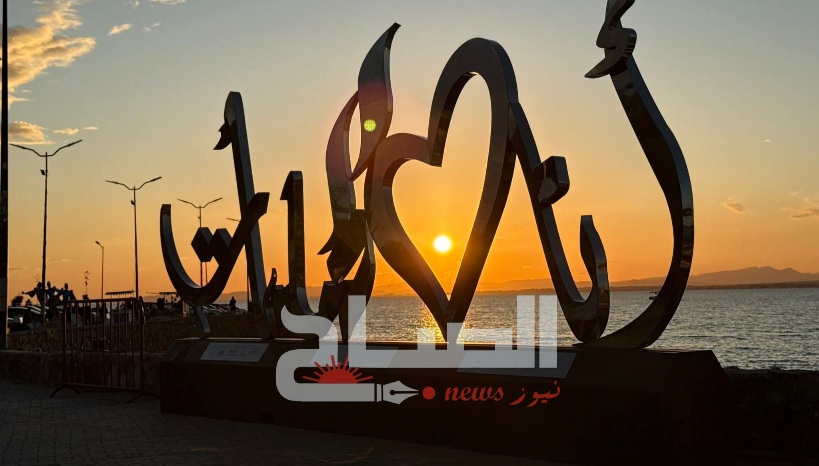  تركيز  مجـسّم " أنـا أحب  الحـمامـات "