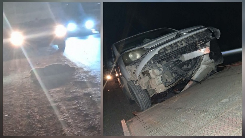 القيروان/ بسبب خنزير بري.. حادث مرور يخلف أضرارا مادية على الطريق الوطنية رقم 2