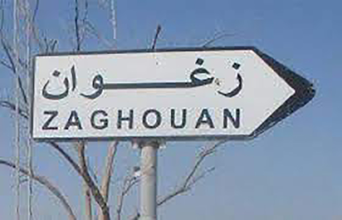 زغوان.. حجز580 كلغ من العسل وأكثر من 700 كلغ من المرطبات منذ بداية ديسمبر 