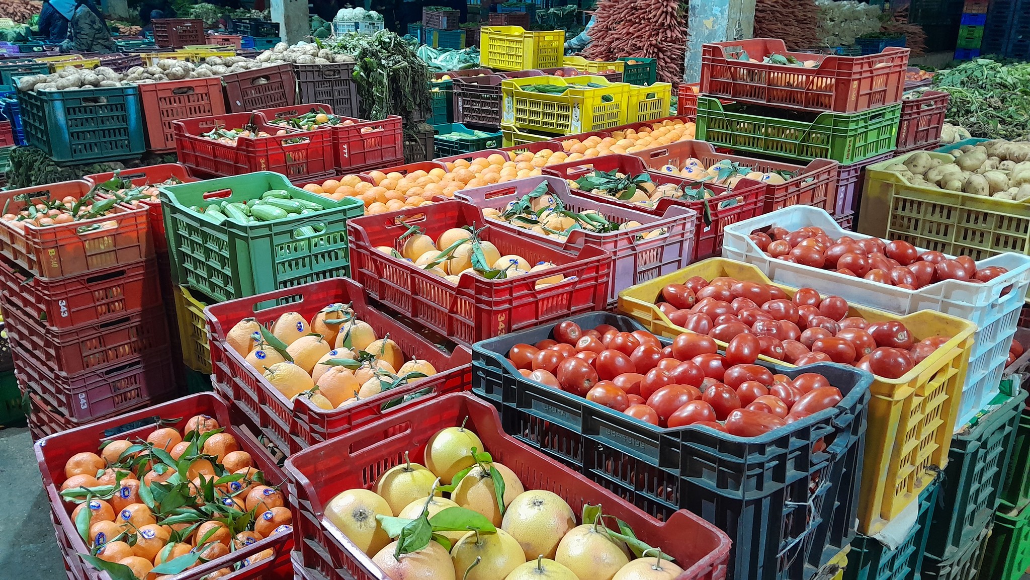 قبل أقل من شهرين..وزارة التجارة تؤكد الاستعداد لشهر رمضان على مستوى العرض والأسعار