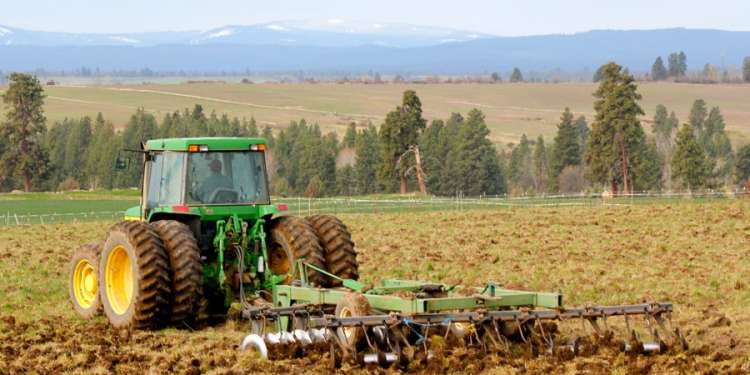 مع توفر البذور الممتازة بكميات غير مسبوقة..   تقدم موسم البذر.. والفلاح مستبشر بالزراعات الكبرى