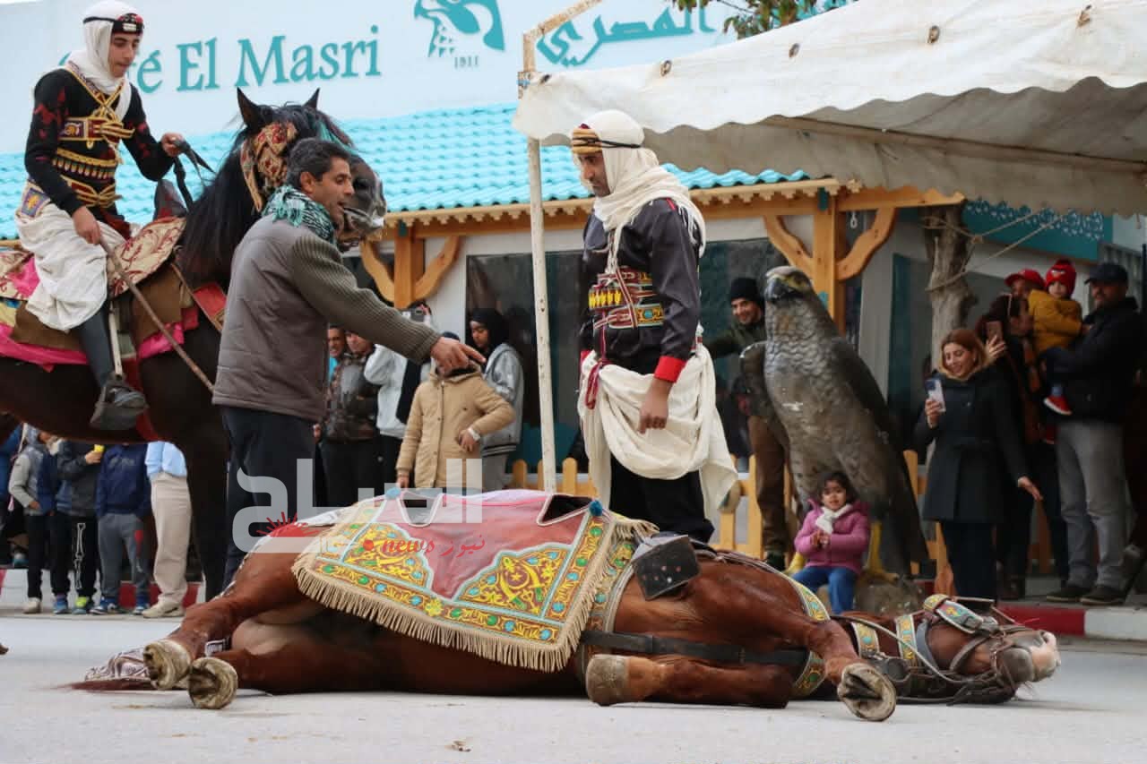 يوم ترويجي لتنشيط الحركية السياحية من أجل تصنيف الهوارية كبلدية سياحية 