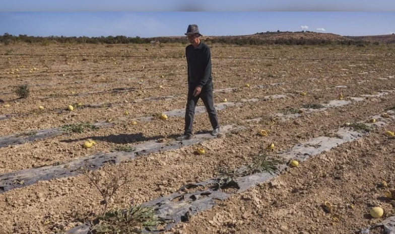 بعد هطول الأمطار.. المغرب يُعلن نهاية جفاف استمر 7 سنوات