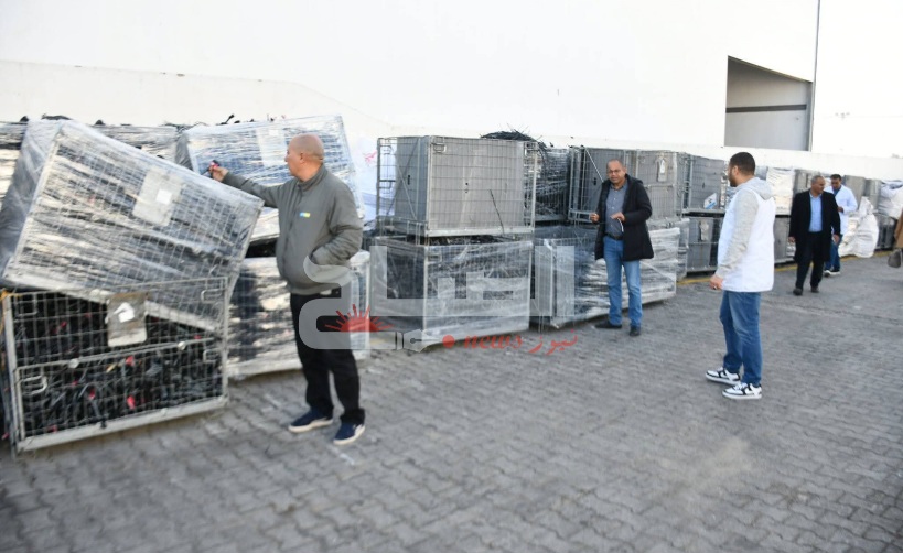 نابل.. حجز مواد خطرة منتهية الصلوحية وتحرير محاضر تنبيه