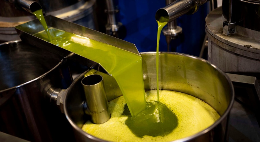 وزارة الفلاحة: نصيب التونسي من زيت الزيتون لا يتجاوز 3 لترات سنوياً