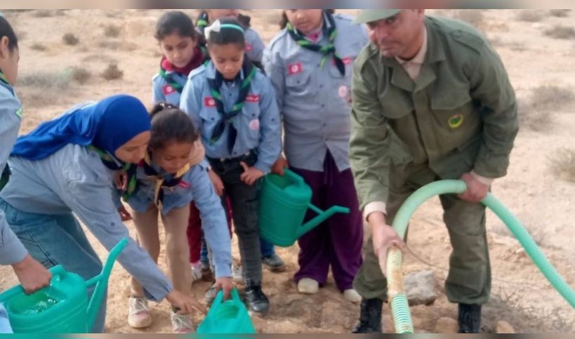 قبلي.. غراسة 1200 شجرة لمقاومة زحف الرمال