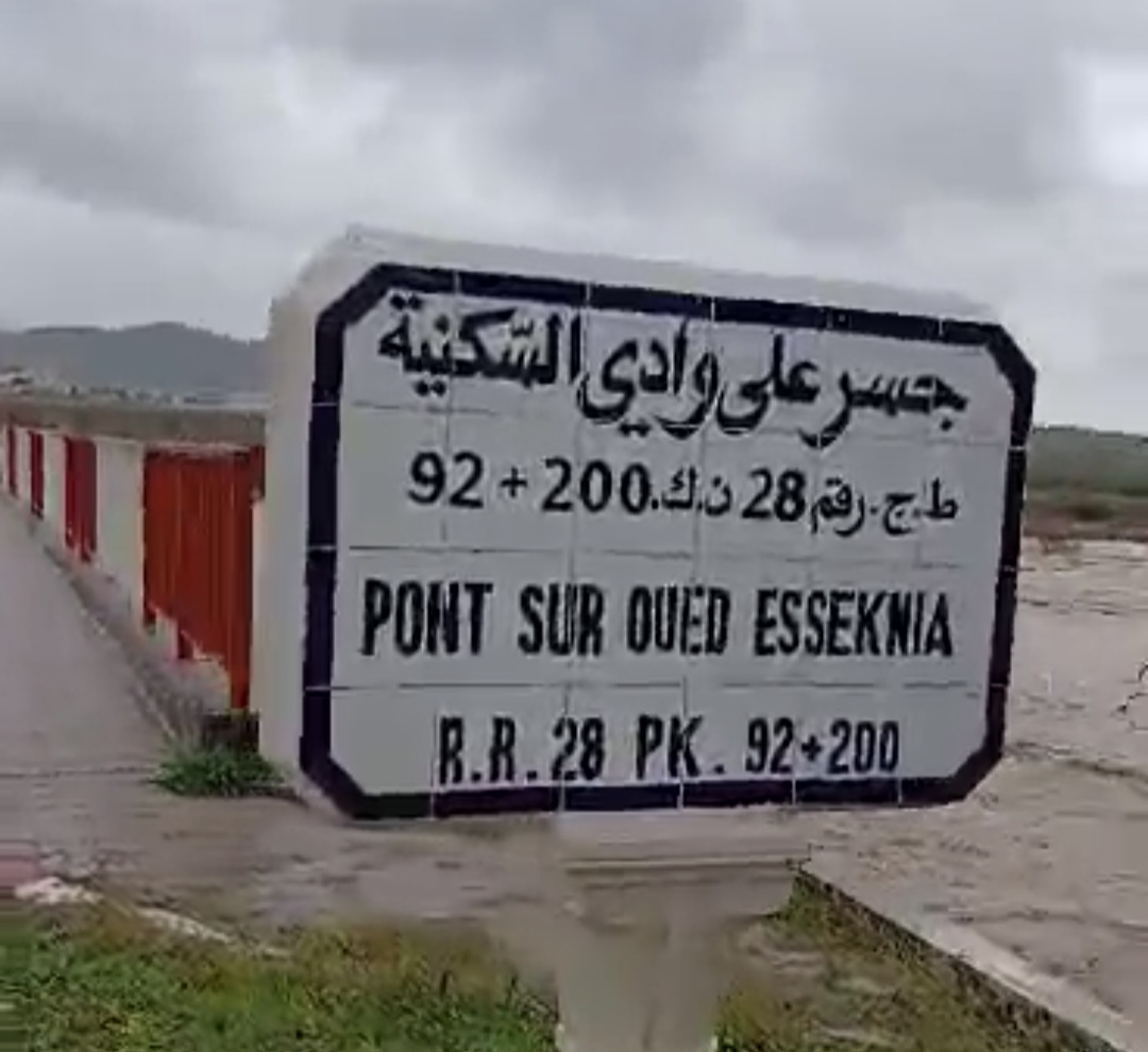 زغوان.. تساقطات متفاوتة الكميات والفلاحون يطالبون بتوفير الأمونيتر  