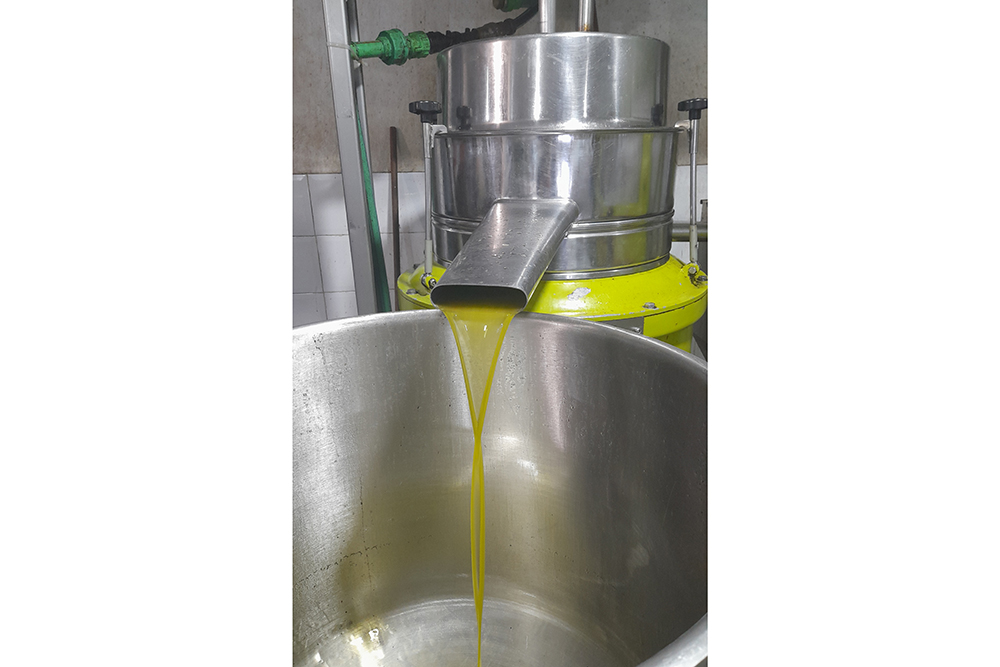  مرسى القنطاوي.. يوم ترويجيّ لزيت الزيتون التونسيّ  