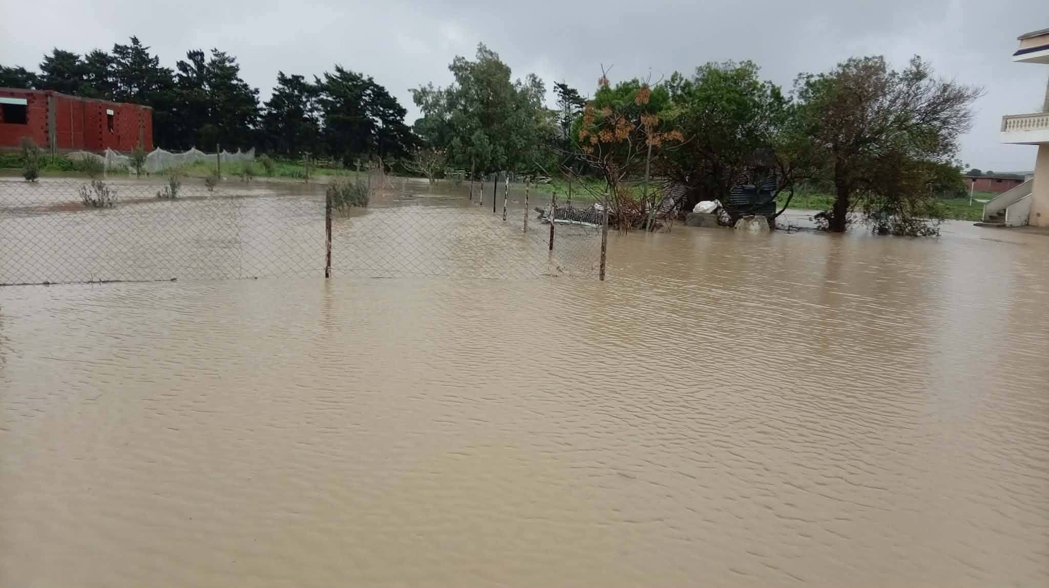 الهوارية.. فيضان وادي سودان ومياه الامطار تتسرب نحو المنازل 