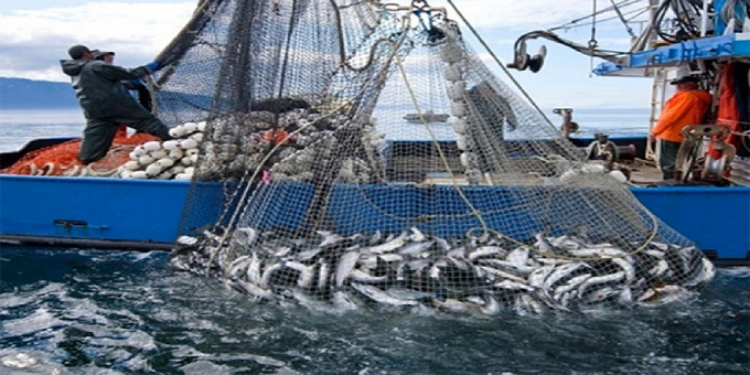 نائب رئيس اتحاد الفلاحة والصيد البحري لـ«الصباح»:   اتفاقية «أعالي البحار» لها أهميتها لحماية الثروة السمكية والبيئة البحرية
