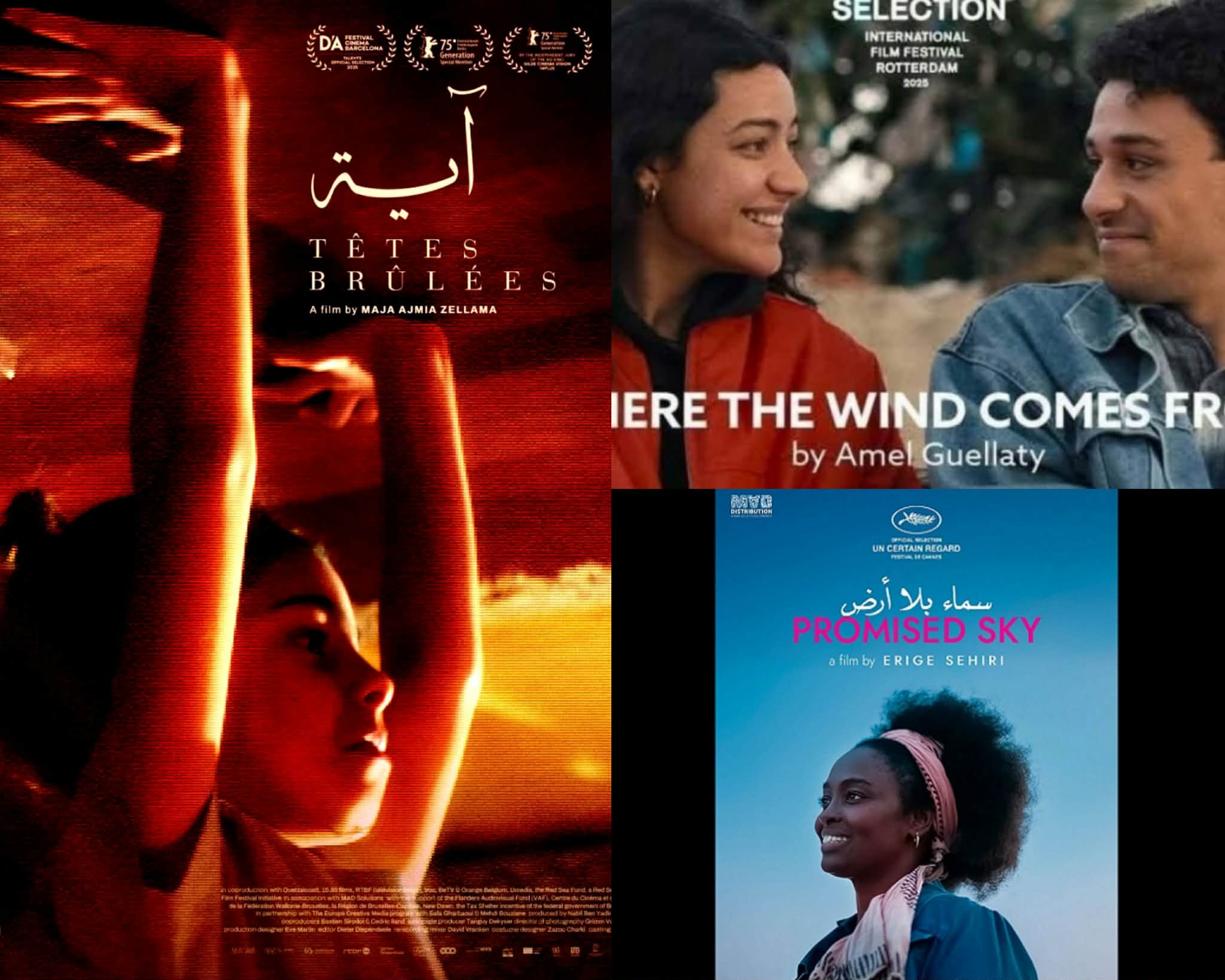 حققت إشعاعا عالميا وتحولت تدريجيا إلى قوة ناعمة..   السينما تكسر قواعد العرض والتوزيع الكلاسيكية في القاعات العربية