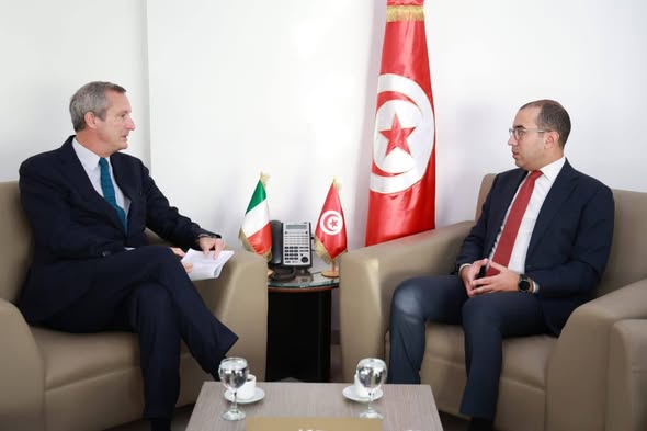 مشروع الربط الكهربائي بين تونس وايطاليا محور لقاء كاتب الدولة للانتقال الطاقي وسفير إيطاليا 