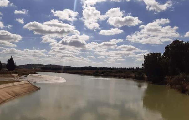 منوبة.. ارتفاع نسبة امتلاء البحيرات الجبلية من 10 الى 45 بالمائة