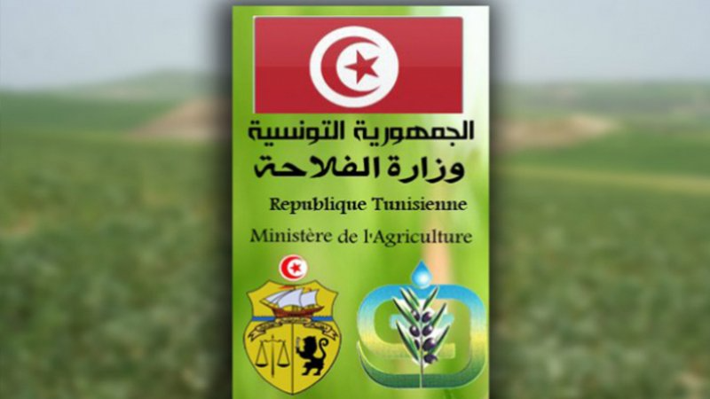 يهم مربّي الماشية.. وزارة الفلاحة تحذر من مرض "بومرّيرة" وتقدم النصائح 