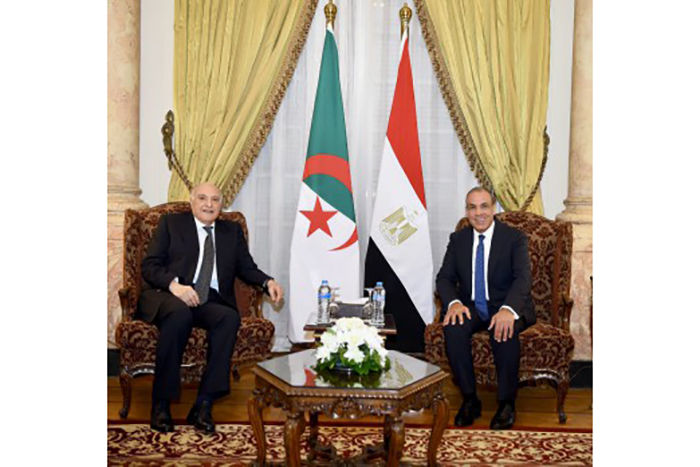 مصر والجزائر تبحثان العلاقات الثنائية وتطورات غزة والسودان وليبيا