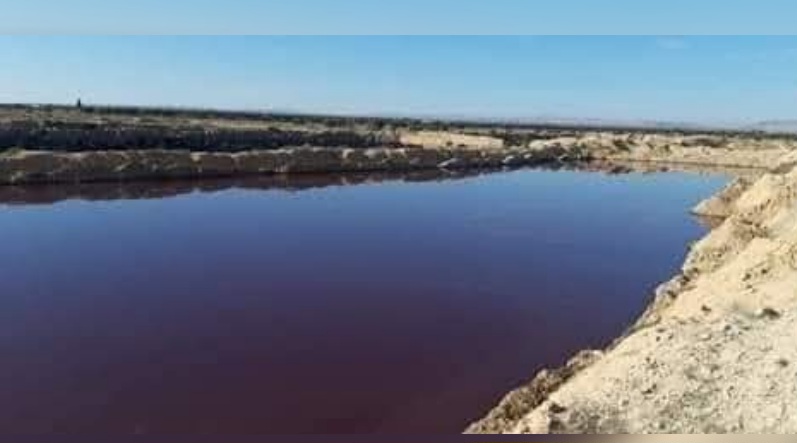  القيروان.. فتح استثنائي لمصب المرجين بالشراردة وتشديد الإجراءات ضد المخالفين