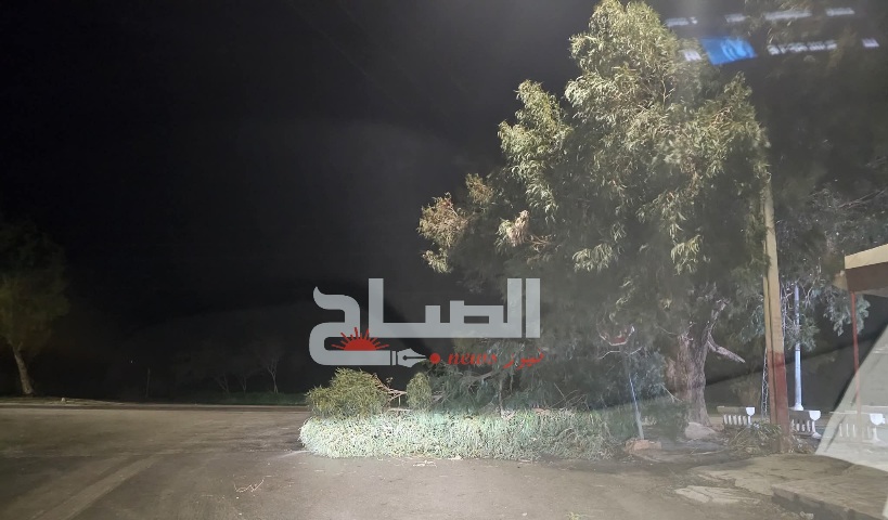 بنزرت.. الرياح القوية تقتلع الأشجار وتقطع الطرقات والكهرباء