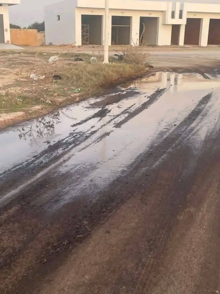 القيروان.. تعديل توقيت نقل المرجين وعقوبات صارمة للمخالفين