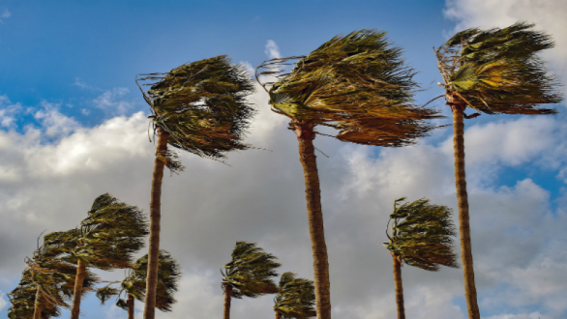 طقس الليلة.. رياح قوية وبحر مضطرب 