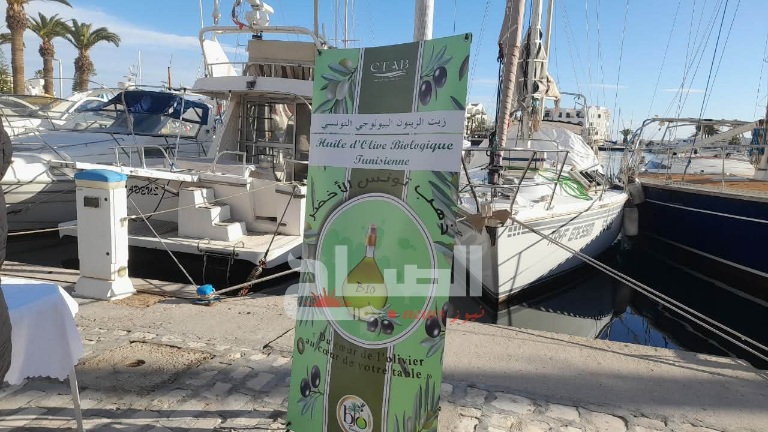 بمرسى القنطاوي.. يوم ترويجي لزيت الزيتون البيولوجي 