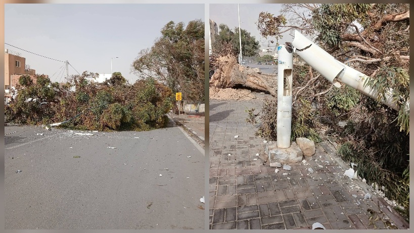 قبلي.. سقوط أشجار واعمدة كهربائية بمناطق متفرقة من الولاية