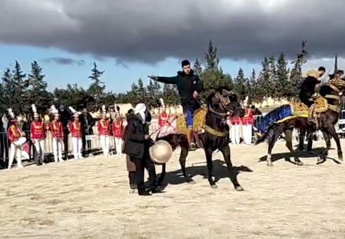 العلا.. برنامج ثري ومتنوع في اليوم الثاني من المهرجان الدولي للزيتون الألفي بالمساعيد