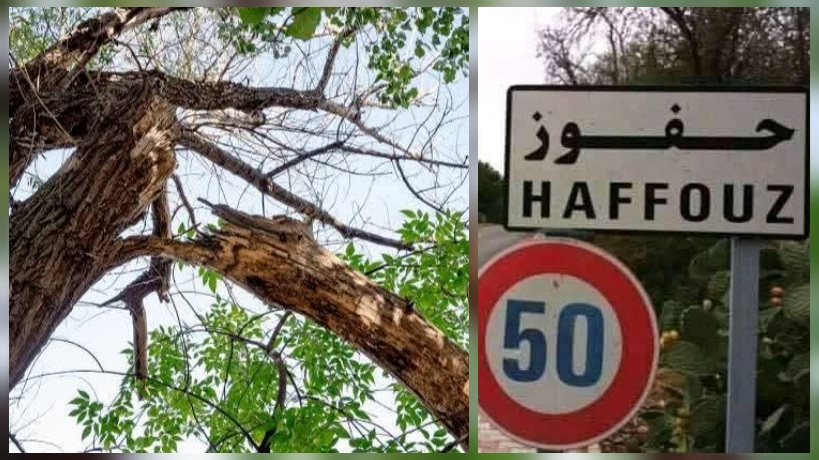 حفوز.. أضرار فلاحية وانقطاع الكهرباء والاتصالات جرّاء رياح عاتية