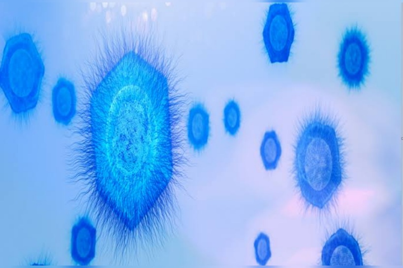 فيروس عملاق جديد يثير فضول العلماء حول أصل الحياة