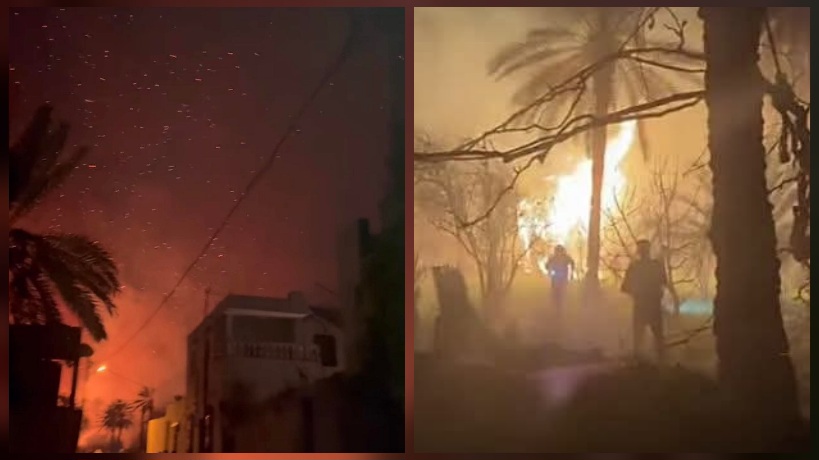 قابس.. حريق في بعض غابات شط السلام 