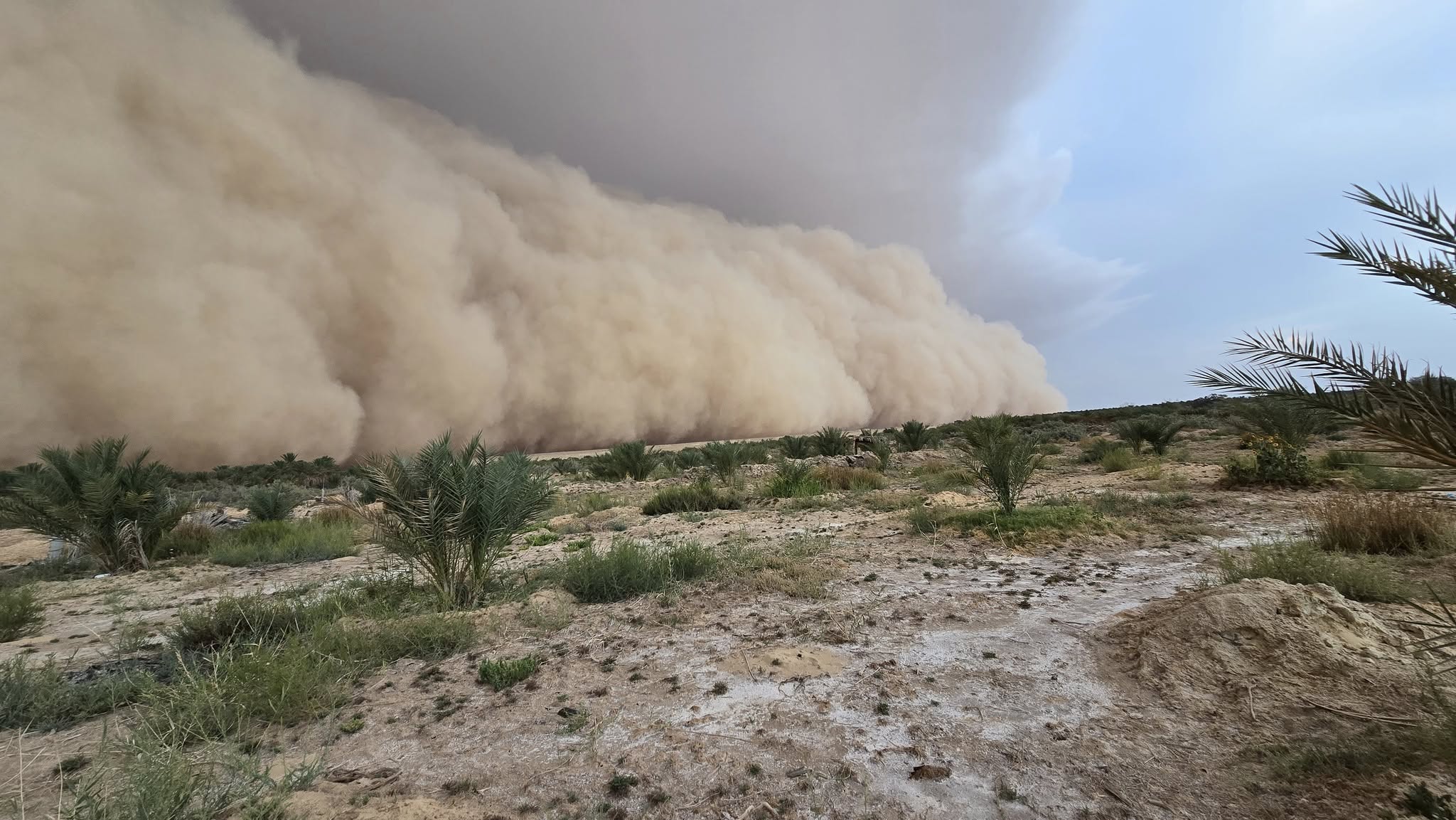بسبب ظهور رياح ودواوير رملية.. مرصد المرور يدعو مستعملي الطريق بالجنوب إلى الحذر وتطبيق قواعد السلامة 