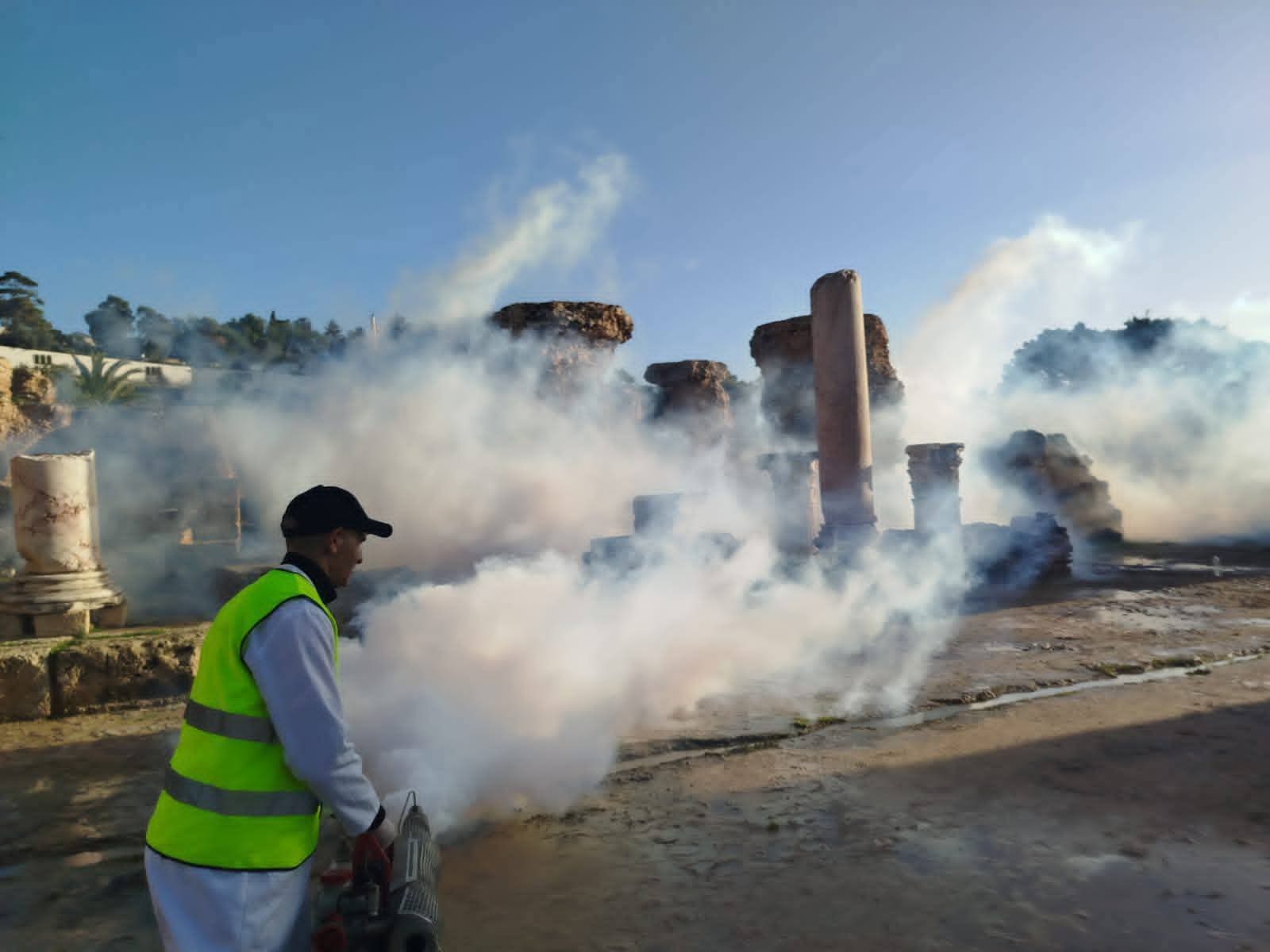 قرطاج تحافظ على تراثها.. حملة استثنائية لتعزيز سلامة المواقع الأثرية