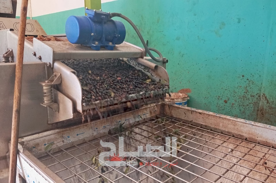 سيدي بوزيد: معصرة "الشامي".. عندما يلتقي عبق الماضي بحداثة العصر