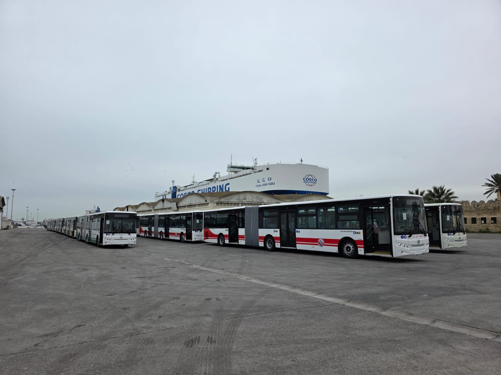 في صفقة تشمل 461 حافلة..  وزارة النقل تتسلم 132 حافلة جديدة من الصين