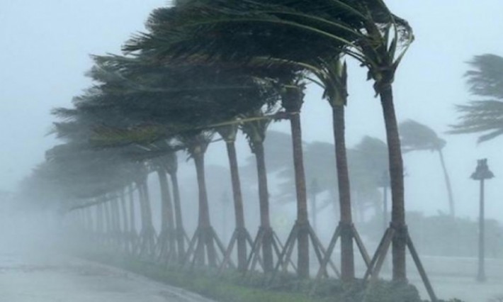 تقلبات الجوية ورياح قوية.. وزارة الفلاحة تحذر