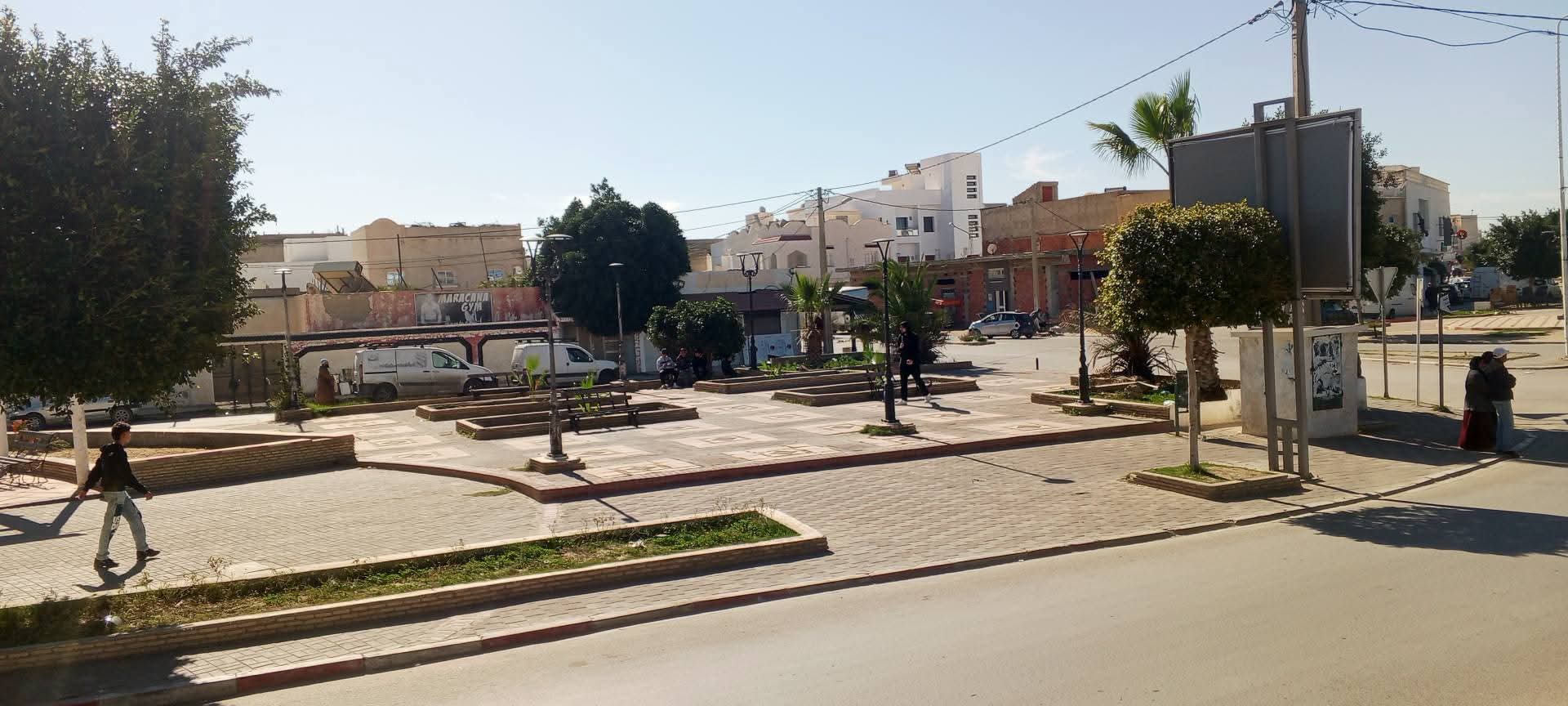 القيروان.. غرس أشجار زينة بحديقة المنصورة