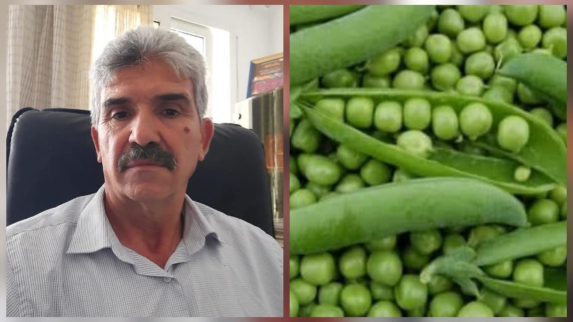  رئيس الاتحاد الجهوي للفلاحة بالقيروان لـ" الصباح نيوز": تراجع إنتاج الجلبانة سببه التقلبات المناخية