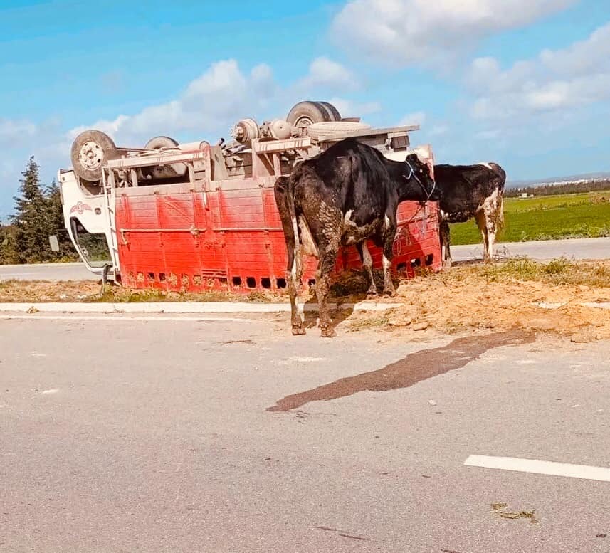 منزل بورقيبة.. اصابة سائق ومرافقه إثر انقلاب شاحنة