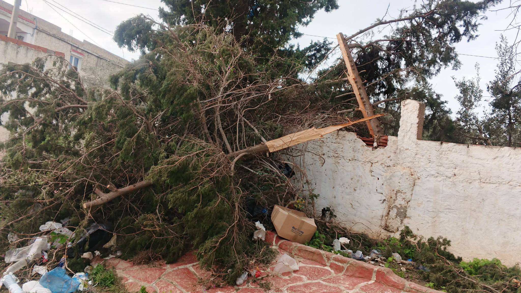  بنزرت.. تدخلات في منزل بورقيبة  وجومين  لإزالة  اثار الرياح القوية
