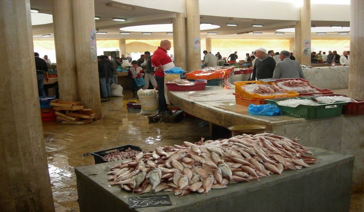 فيما تتزايد الدعوات لمقاطعة «المواد» مرتفعة الأسعار..   حملة لمقاطعة السمك بصفاقس تعيد تشكيل العلاقة بين المستهلك والتاجر