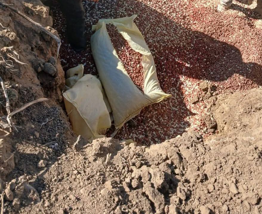 القيروان.. إتلاف 21 طن من “الكاكاوية” الفاسدة بعد حجزها لدى تاجر جملة