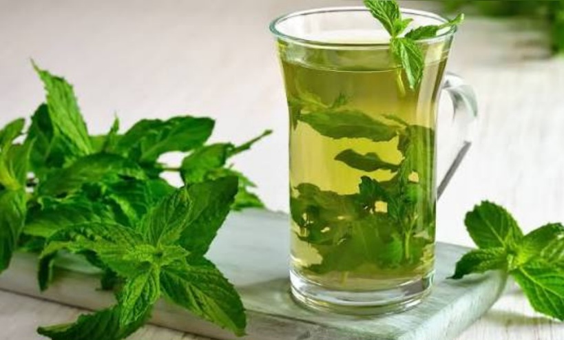 فوائد شرب النعناع يوميا